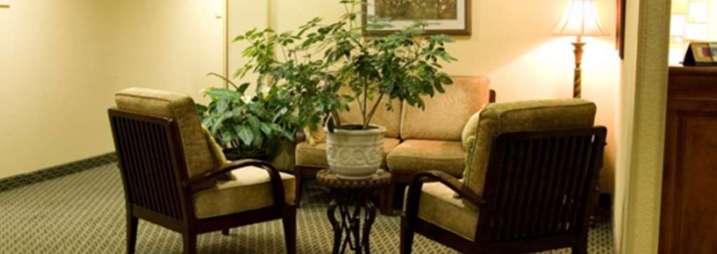 Comfort & Hotel Lexington